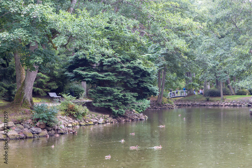 Palanga Botanical Park pond in summer midday