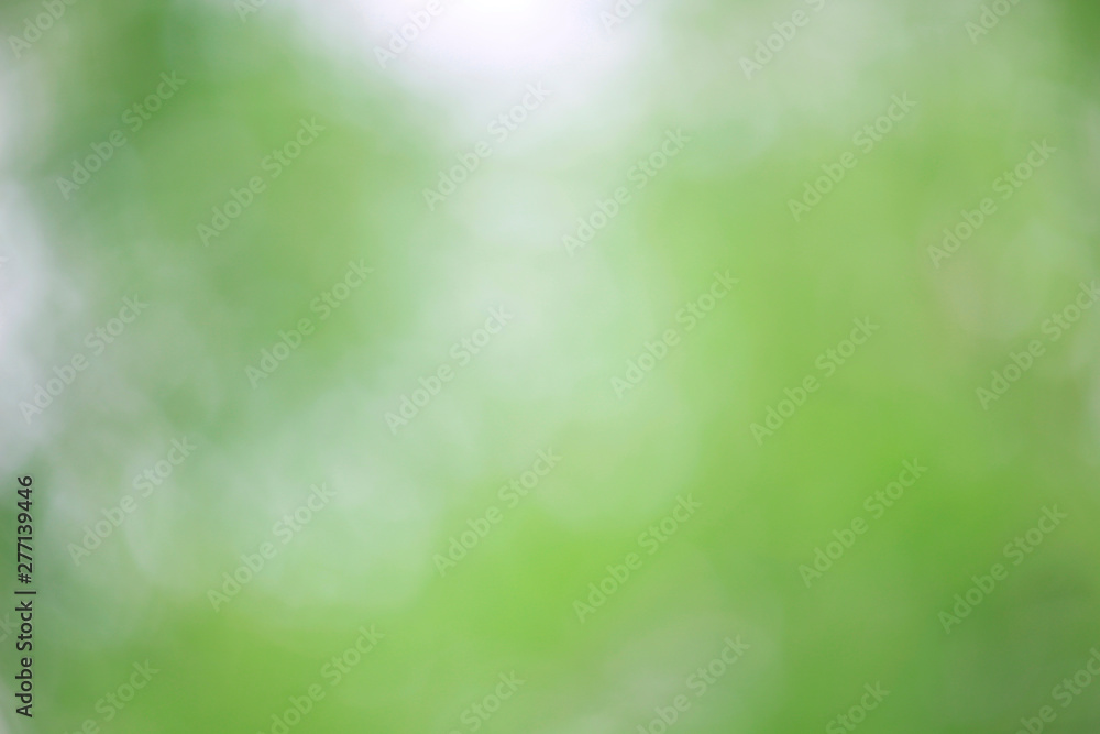 Obraz premium Bokeh green nature, Subtle background in abstract style for graphic design