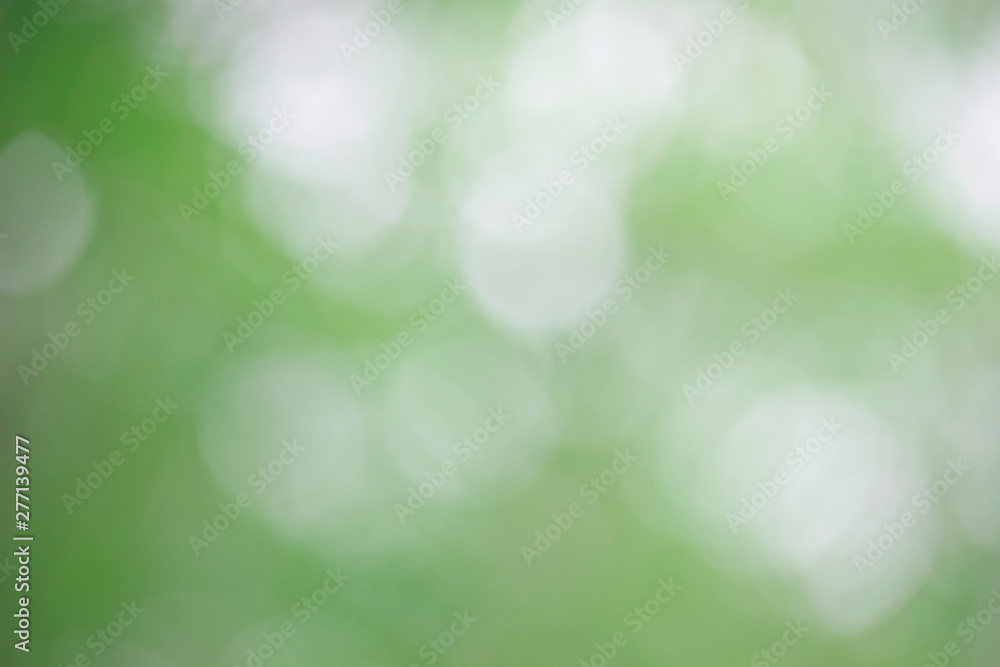 Obraz premium Bokeh green nature, Subtle background in abstract style for graphic design