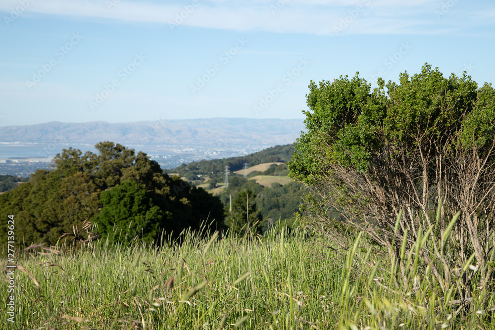 Fototapeta premium silicon valley