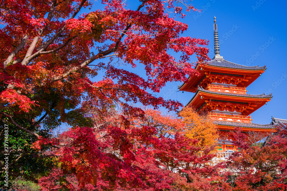 京都 清水寺の三重塔と紅葉 Stock 写真 Adobe Stock
