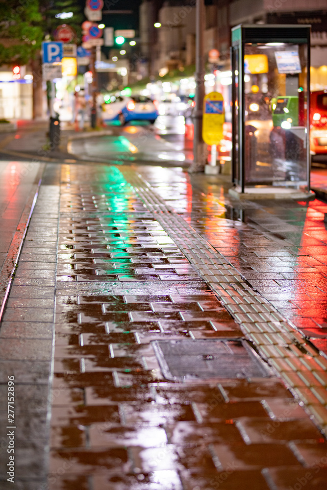 夜の雨の歩道