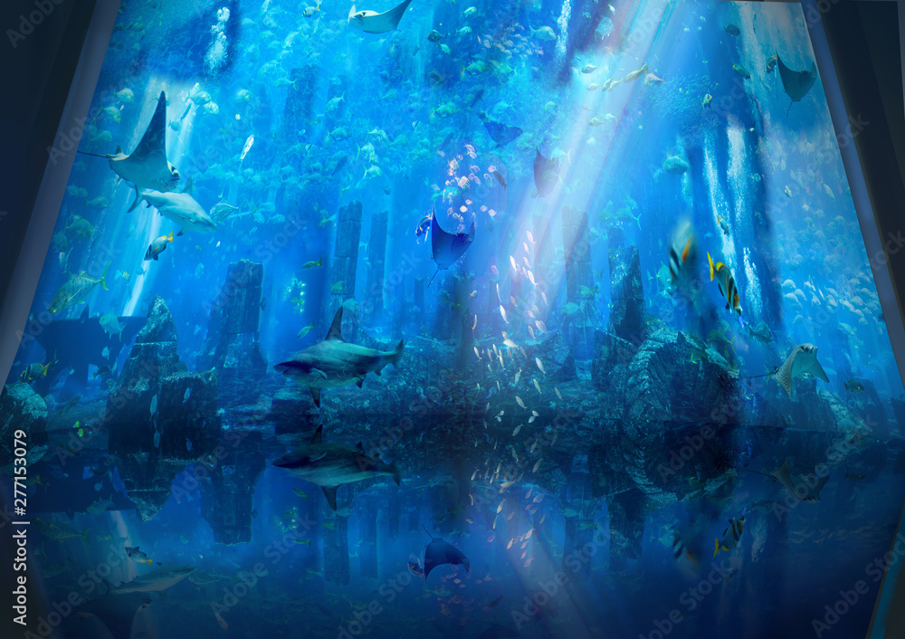 Under the water ocean sea life. Aquarium background with ruins