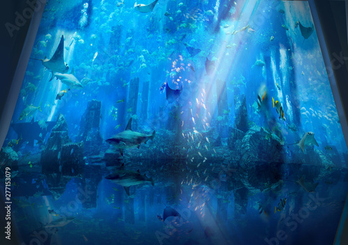 Canvas Print Under the water ocean sea life