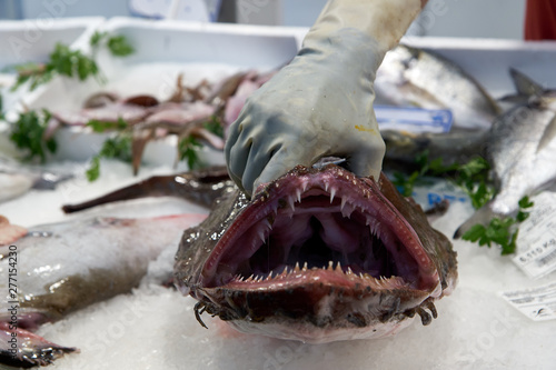 Cuadro en lienzo monkfish