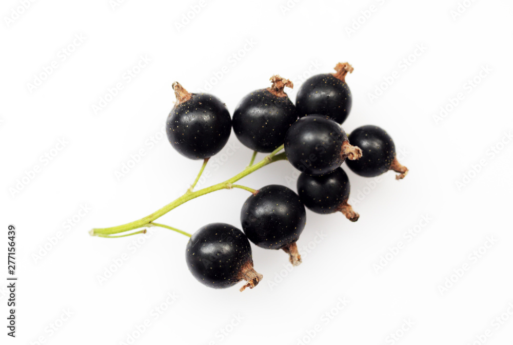Bunch of black currants on white background macro Bunch of black currants on white background macro