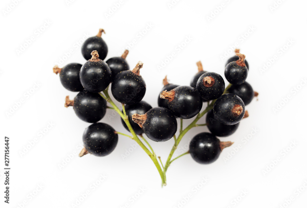 Bunch of black currants on white background macro Bunch of black currants on white background macro