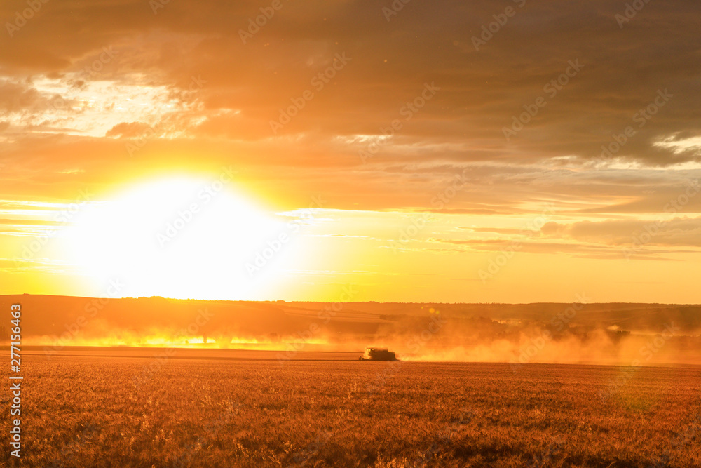 Combine harvester harvests wheat in the field at sunset. Combine harvester harvests wheat in the field at sunset.
