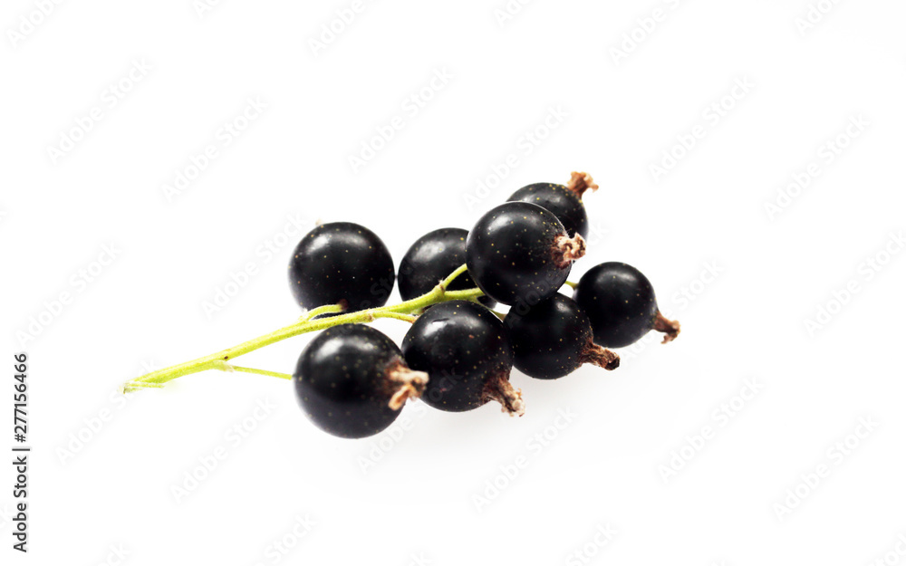 Bunch of black currants on white background macro Bunch of black currants on white background macro