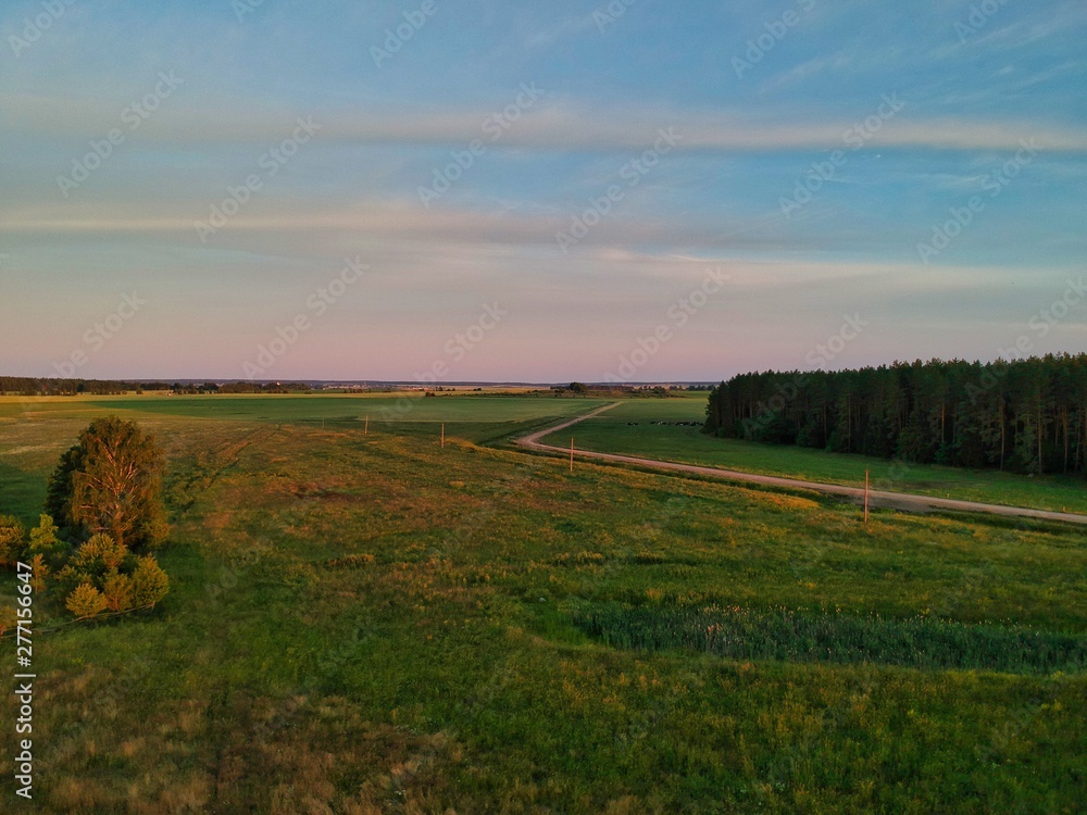 Obraz premium sunset over green field