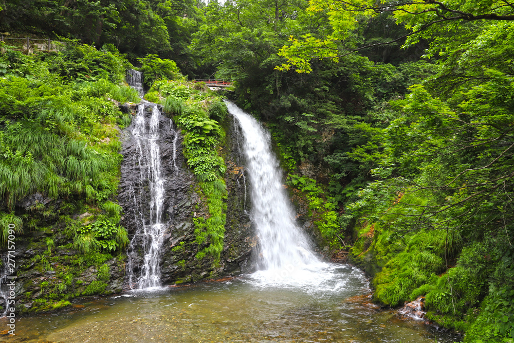 Naklejka premium 【山形県 日本の観光名所】白銀の滝