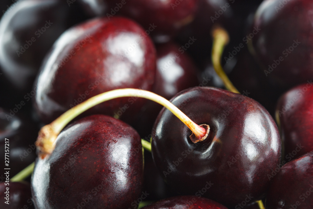 garden ripe cherries macro as a fruit background - obrazy, fototapety, plakaty 
