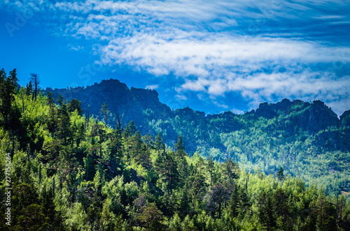 A mountainside slope covered with pine forest in a bright sunny day the blue sky and clouds