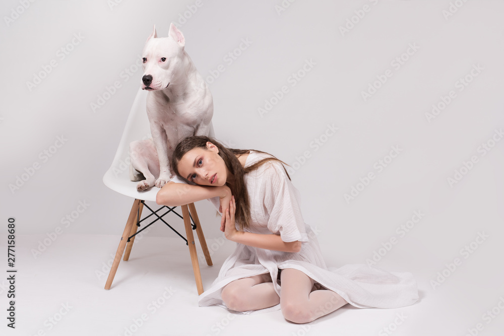 Fashionable young woman in white dress sitting on the floor and touching her white staffordshire terrier dog sitting on chair, in front of white background. Close relationship between human and dog Fashionable young woman in white dress sitting on the floor and touching her white staffordshire terrier dog sitting on chair, in front of white background. Close relationship between human and dog