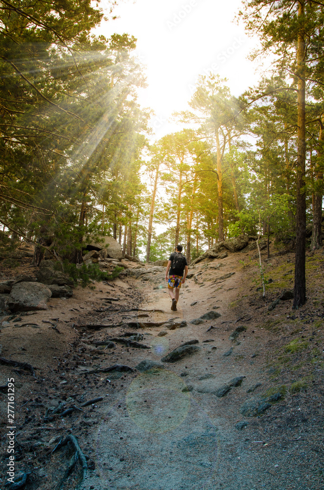 A hiker with backpack is walking in the forest on a sunny day. A two travelers is exploring new landscapes on the weekend