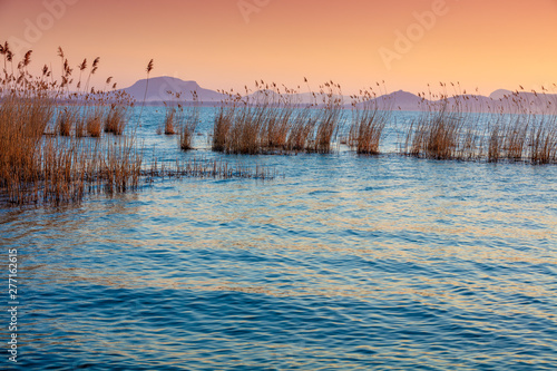 The shore of Lake Balaton on the Tihany peninsula. Hungary, Europe