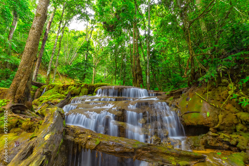 Waterfall in Tropical Rain forest  Pa Wai Waterfall Tak Province  Thailand