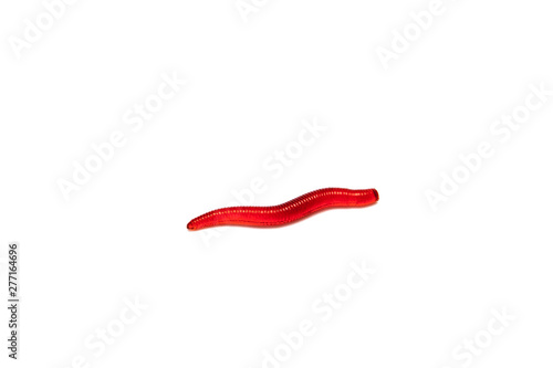 Artificial fishing larvae of insects on white background with soft shadow