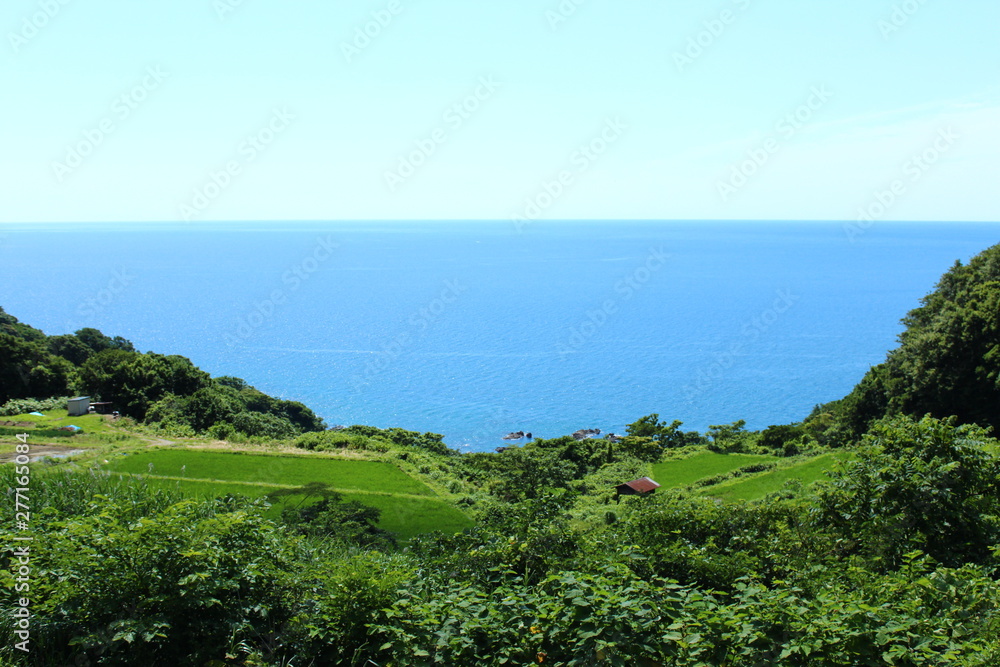 暮坪の棚田 暮坪の棚田