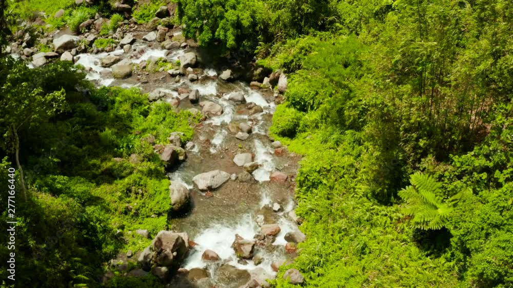 Mountain river in the rainforest through the green jungle covered with green forest and palm trees top view. River in the green forest. Camiguin, Philippines. Mountain river in the rainforest through the green jungle covered with green forest and palm trees top view. River in the green forest. Camiguin, Philippines.