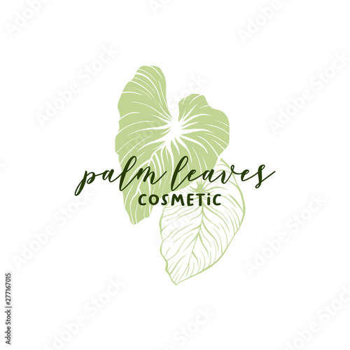 Palm leaves cosmetics hand drawn logo template. Silhouette and outline monstera leaves drawing. Handwritten lettering and exotic leafage illustration. Skin care shop logotype linear design