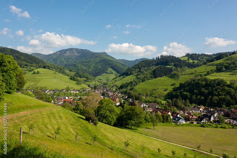 Wonderful landscape image of the small climatic resort village Muenstertal in the black forest with hills, meadows and mountain in the background