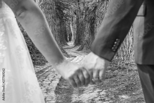 Ein frisch vermähltes Ehepaar vor dem symbolischen Weg des Lebens in einem Märchenwald, Deutschland
