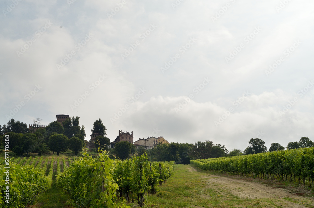 Landscape of Monferrato hills where grows grapes for Barbera