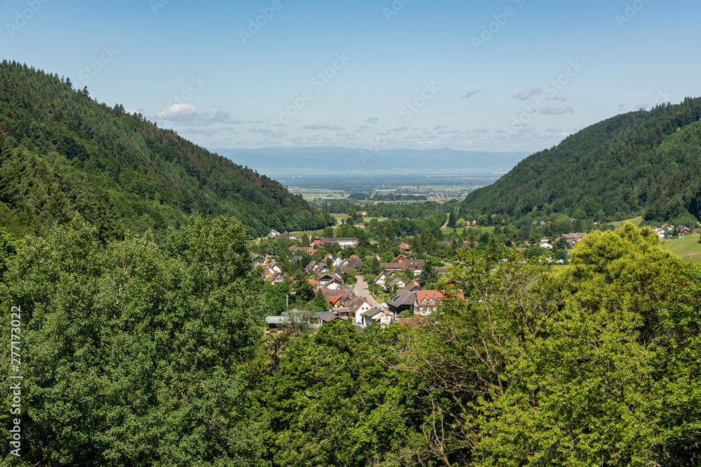 Black Forest with view of the Vosges mountains