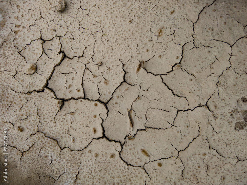 Soil Texture Background Soil Texture Background