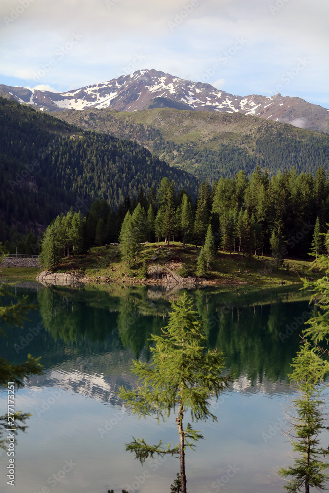 summer alpine lake and forest with mountain in the background