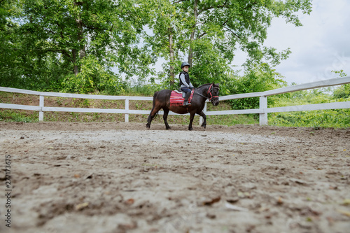 Playful little jockey boy riding adorable pony at sunny day on ranch.