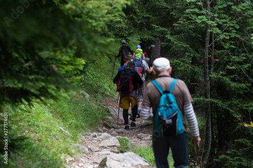 Group of hikers walking in mountains.