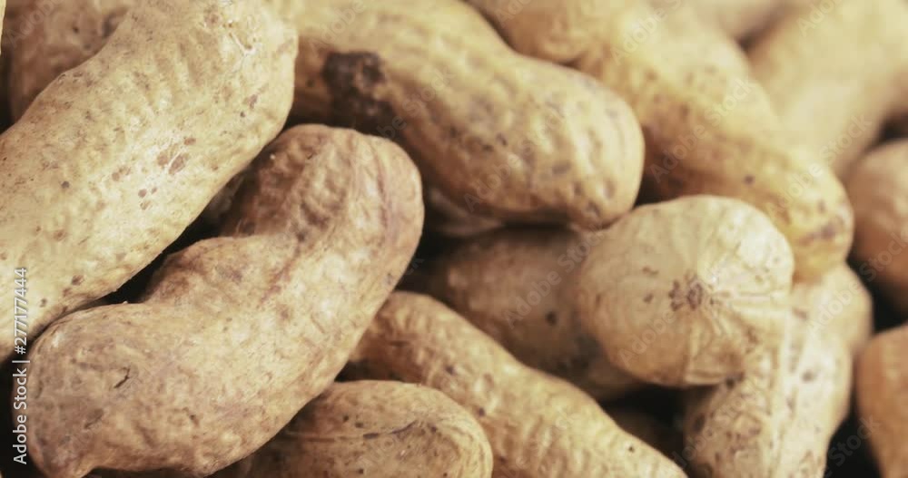 Peanuts in the shell roasted Peanuts in the shell roasted