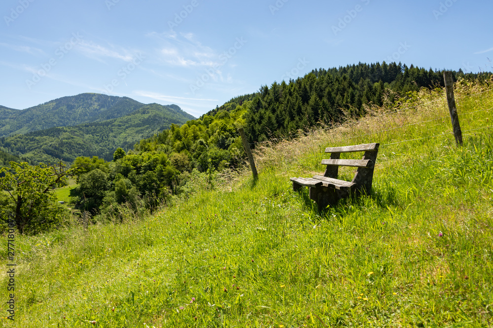 Bench on the hiking trail in the Black Forest Bench on the hiking trail in the Black Forest