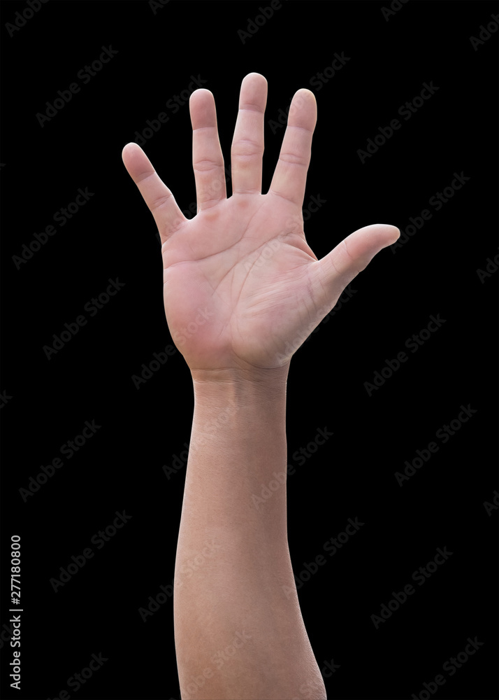 Hand palm up of man raising with five fingers isolated on black background with clipping path for vote, hi 5, help wanted, volunteer, participation, agreement
