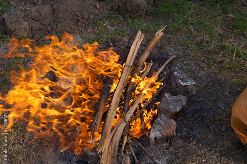 fire in forest