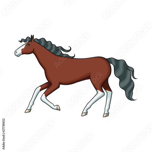 Vector design of steed and brown symbol. Collection of steed and gallop vector icon for stock.