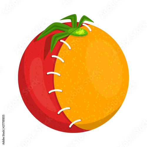 Isolated object of tomato and gmo sign. Set of tomato and fruit vector icon for stock.
