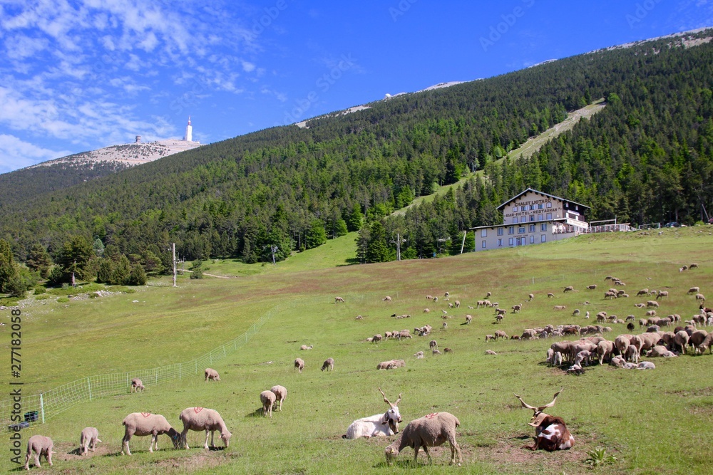 Obraz premium Le Mont Serein