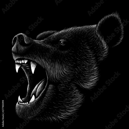 The Vector logo bear for T-shirt design or outwear print .  Hunting style bear background.
