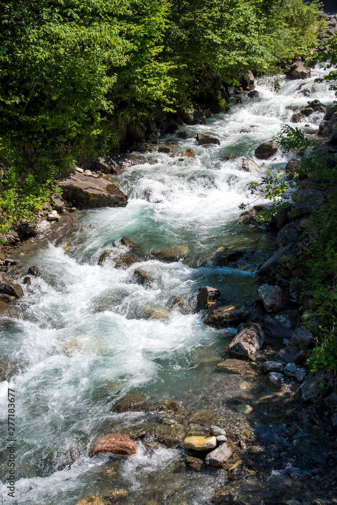 water stream after a waterfall in the forest water stream after a waterfall in the forest