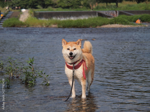 楽しい水遊び