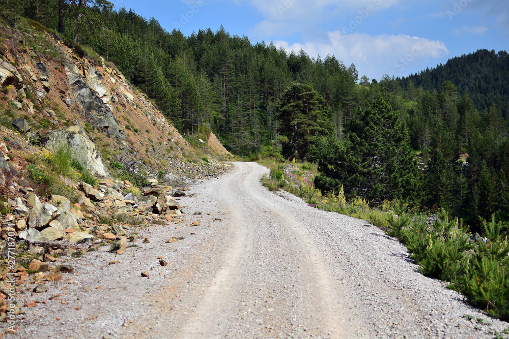 Fototapeta premium road in the mountains