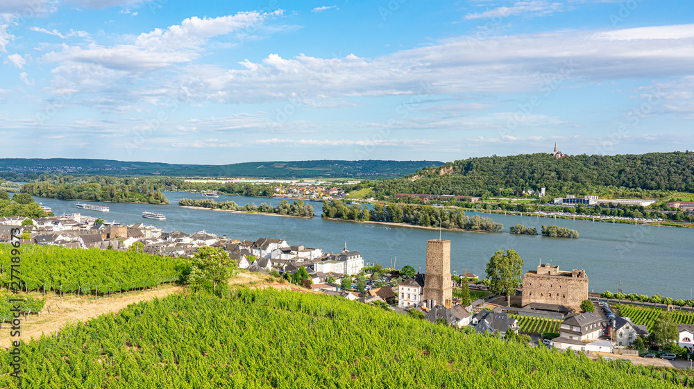 Rüdesheim im Rheintal