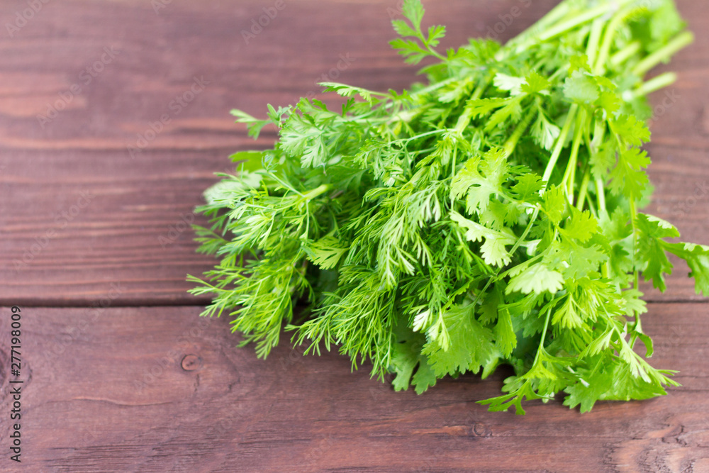 bunch of fresh green cilantro on wooden background bunch of fresh green cilantro on wooden background