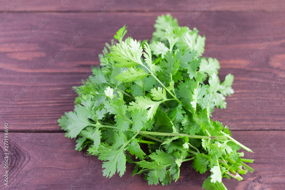 bunch of fresh green cilantro on wooden background bunch of fresh green cilantro on wooden background