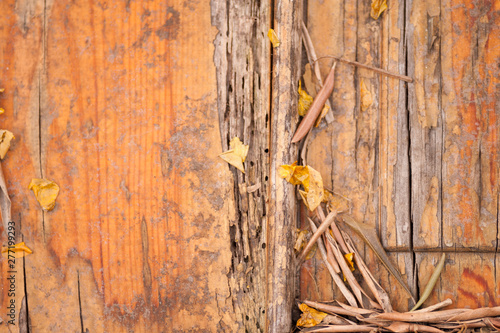 Orange wood texture background surface with old natural pattern and leaves