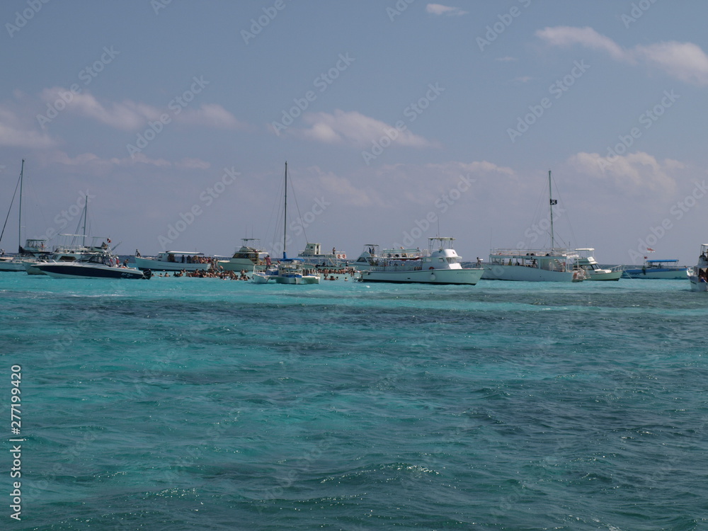 Stingray City, Grand Cayman