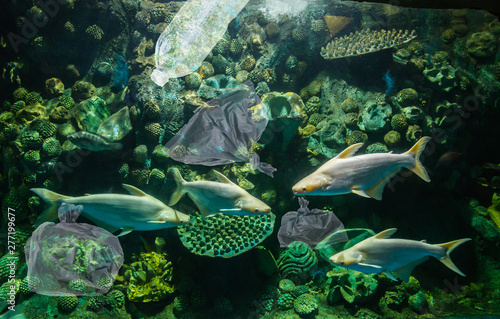 Photography Plastic pollution and fish in ocean